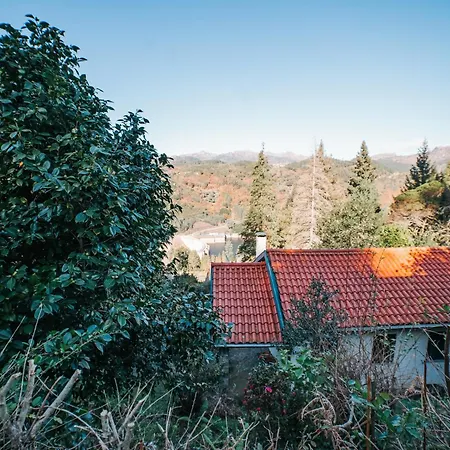 Casa Colina By Quantique * Vieira do Minho