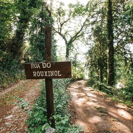 Casa Colina By Quantique * Vieira do Minho