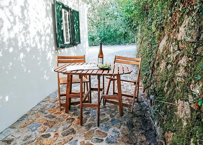 Casa Colina By Quantique Vieira do Minho