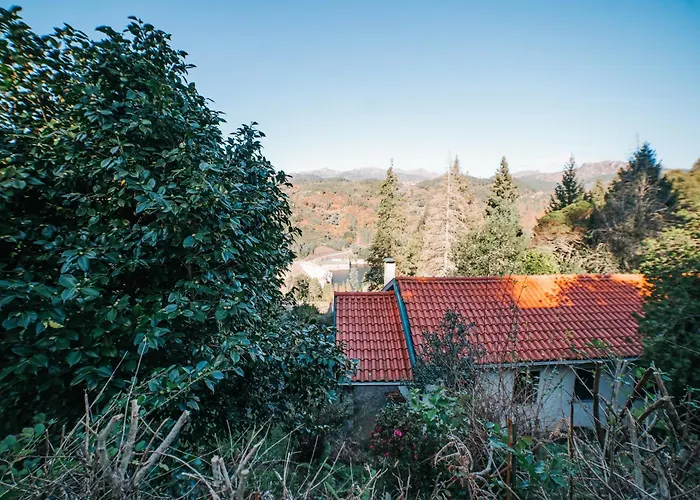 Casa Colina By Quantique * Vieira do Minho