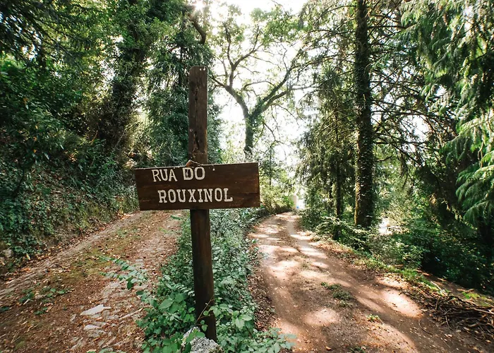 Casa Colina By Quantique * Vieira do Minho
